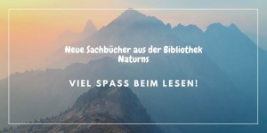 Seitenleiste Zitat Twitter Beitrag (1)